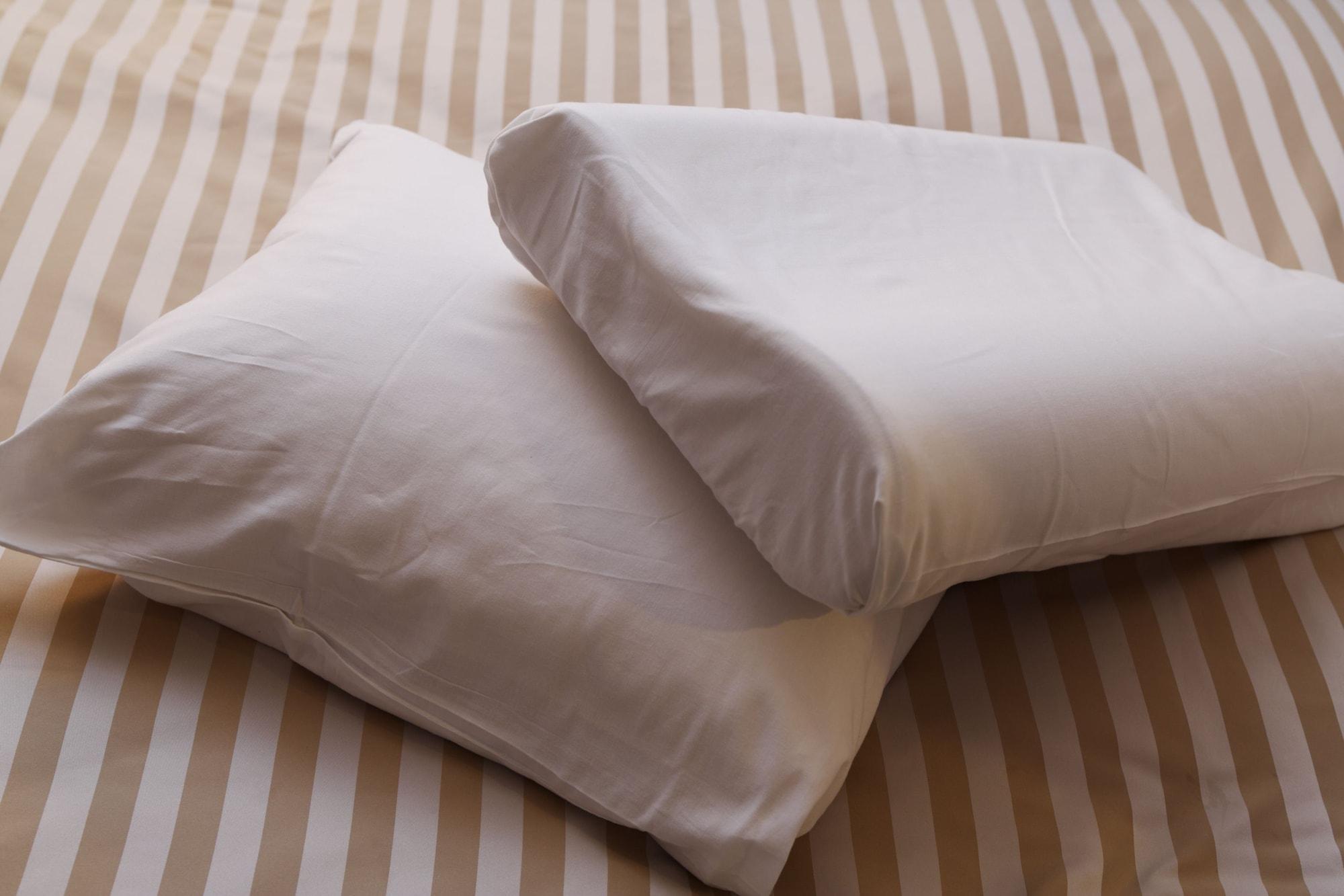 酒店 Mystays Premier Hamamatsucho 4*